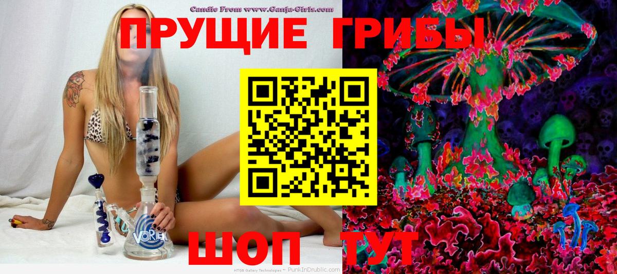 Гудермес  Псилоцибиновые грибы Cubensis  Вход с VPN 